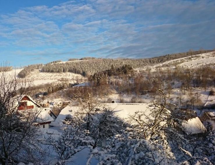 3 Sterne Ferienwohnung Pape Schmallenberg Bagian luar foto