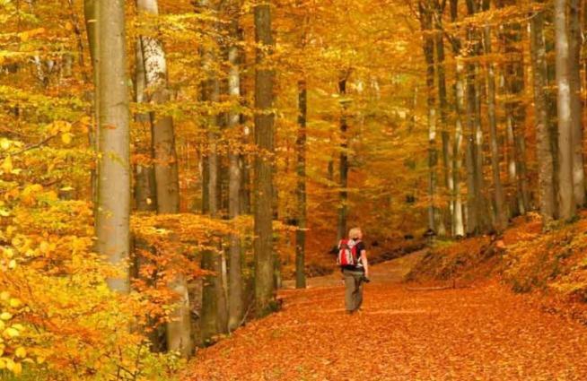 3 Sterne Ferienwohnung Pape Schmallenberg Bagian luar foto